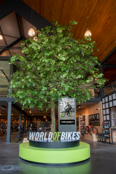World of Bikes_extra 02